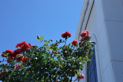 university buildings