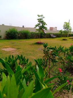 green spaces