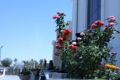 university buildings