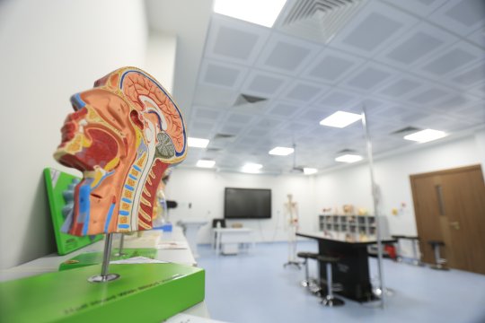 كلية التقنيات الصحية والطبية / قسم العلاج الطبيعي