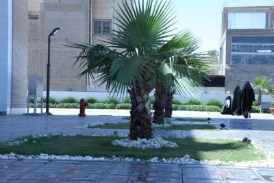 بنايات الجامعة