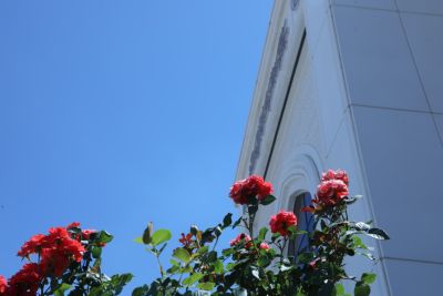 university buildings