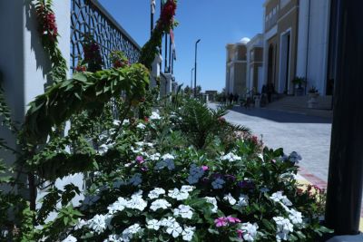 بنايات الجامعة
