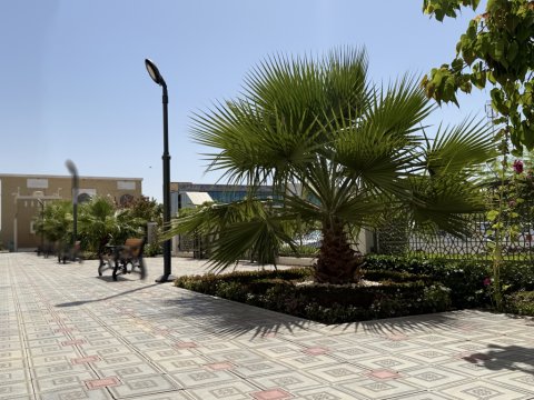 أخبار 1