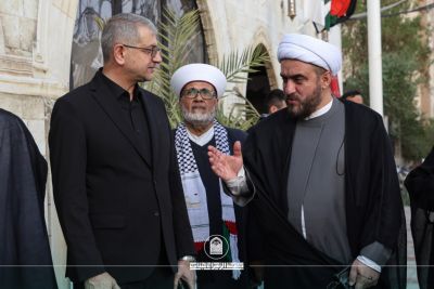 أخبار 11