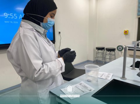 أخبار 11