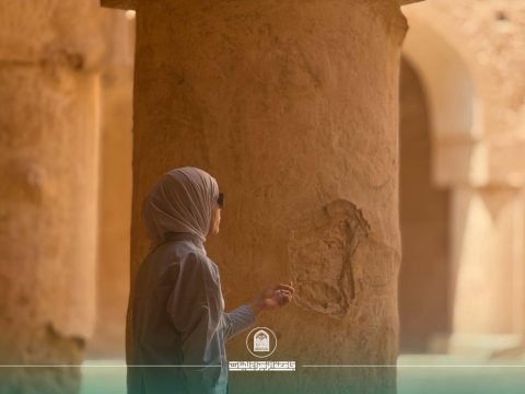 أخبار 20