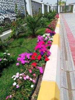 green spaces