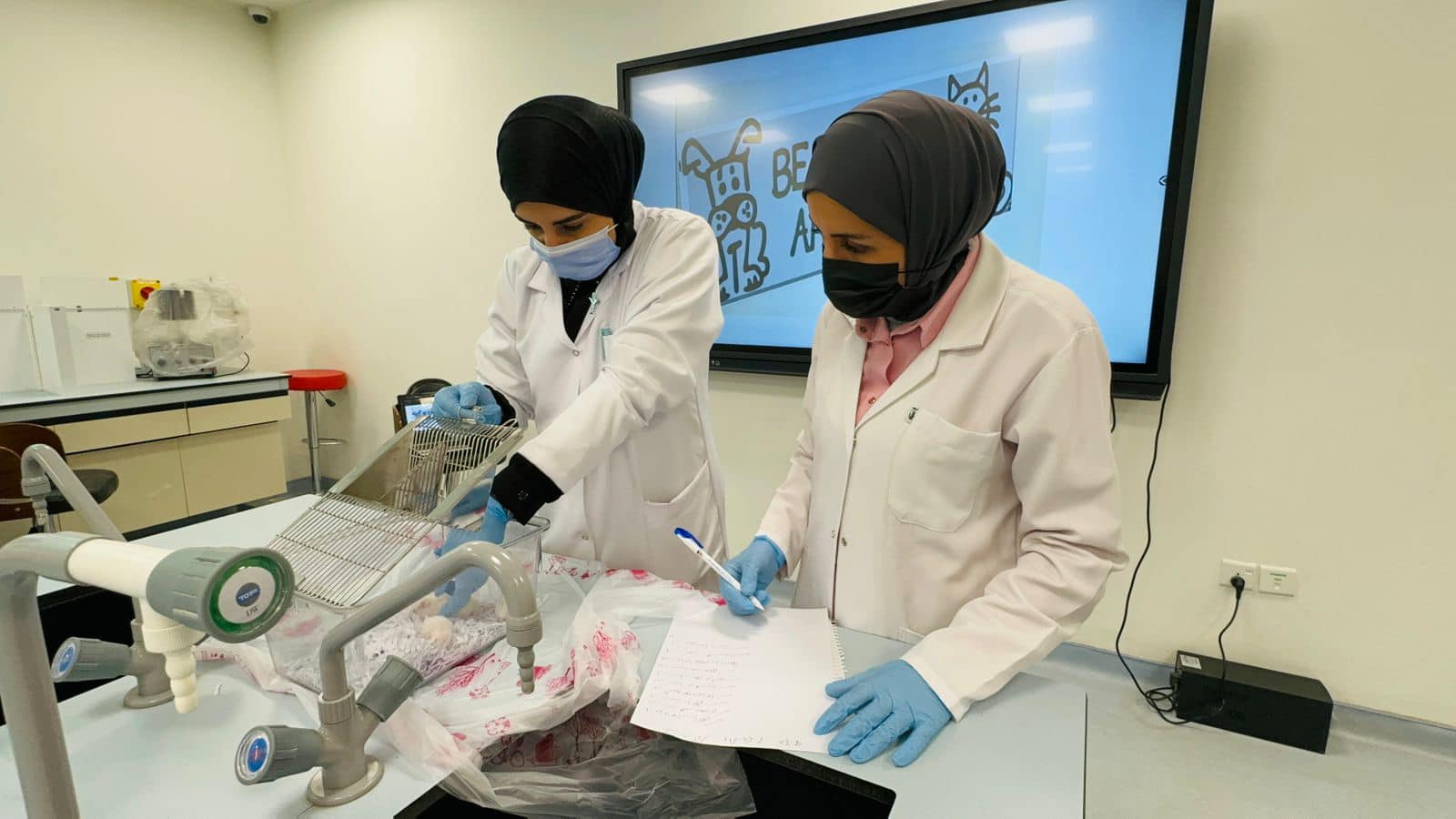 جانب من المختبرات العلمية لمختبر مادة الأدوية